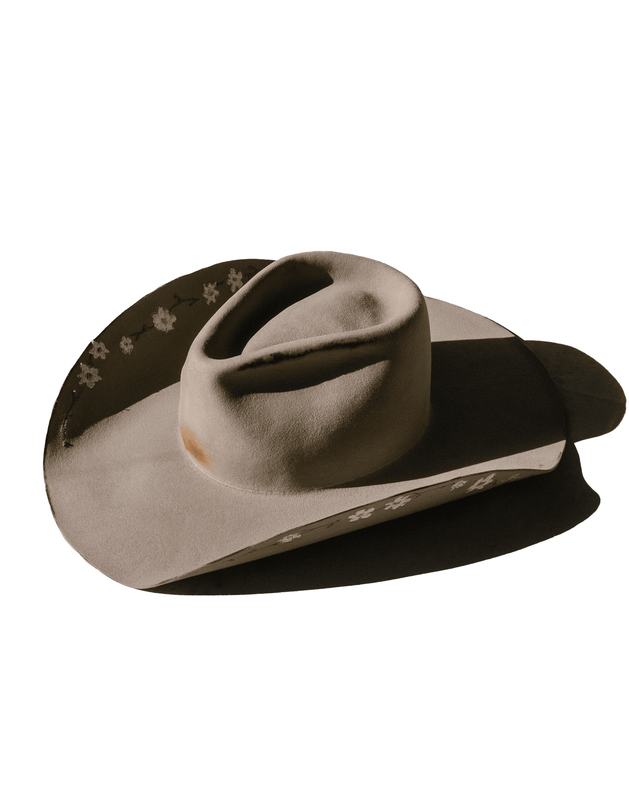 Daisy Jones